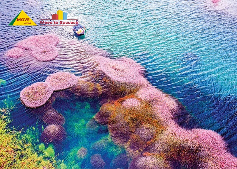 Hồ tảo hồng ở B’lao