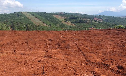 Bán 1,4 mẫu đất nông nghiệp Di Linh, Lâm Đồng có sổ hồng