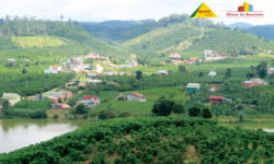 Huyện Đam Rông sở hữu quỹ đất nhà vườn, đất trang trại rộng